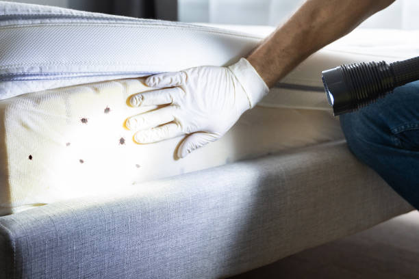 Best Mosquito Control Services  in Malta, MT