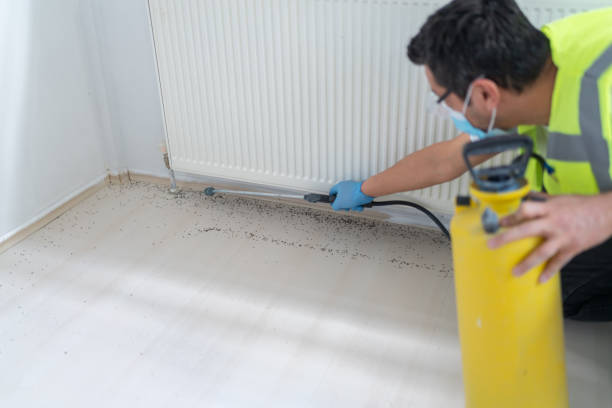 Best Affordable Pest Control Services  in Malta, MT